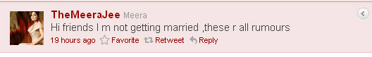 meera jee tweets about her marriage rumor