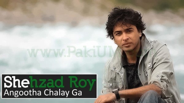 shahzad-roy-election-song